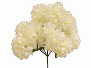 14 Chrysanthemum Mum Balls - Ivory