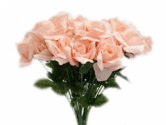 Silk Open Rose - Peach 1-bunch