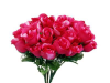 Silk Rose Buds - Fuchsia 1-bunch