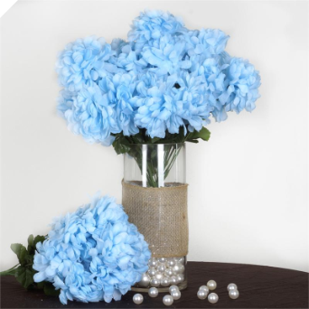 14 Chrysanthemum Mum Balls - Babyl Blue