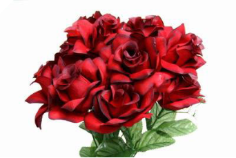 Velvet Bloom Roses - Black Red  1-bunch