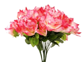Velvet Bloom Roses - Cream Pink 1-bunch