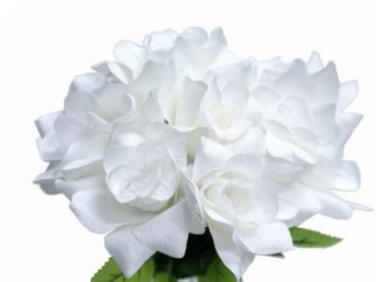 Velvet Bloom Roses - White 1-bunch