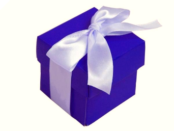 Violet Purple Favour Boxes 2pc - 25 pack