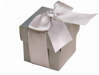 Silver Favour Boxes 2pc - 25 Pack (Metallic look)
