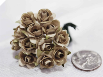 Paper Roses - Champagne 144/pk