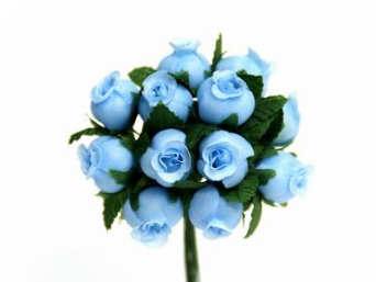 Rose Bud-Baby Blue.144/pk