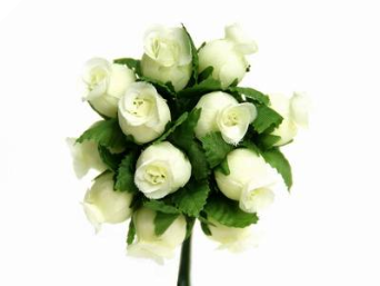 Rose Bud-Yellow.144/pk Rose Bud-Yellow.144/pk