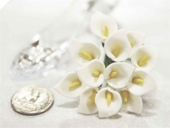 Calla Lily-White-144/pk Calla Lily-White-144/pk