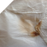 Stained product Stained product