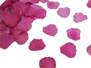 500 Rose Petal - Fuchsia/Hot Pink