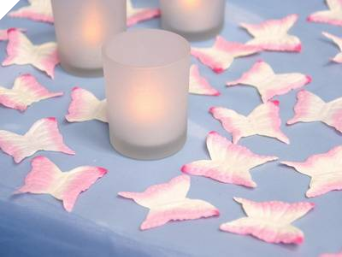 500 Butterfly Petals - Pink