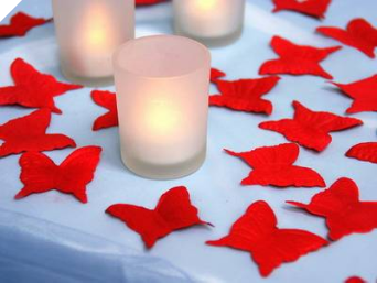 500 Butterfly Petals - Red
