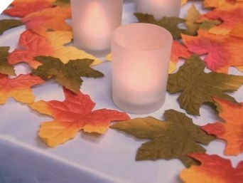 500 Autumn Maple Leaf Petals (OUT OF STOCK)