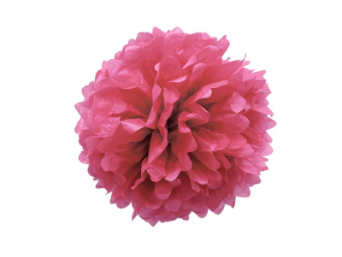 25.40cm Pom Poms - Fuchsia/Hot Pink - 6/pk