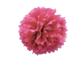 25.40cm Pom Poms - Fuchsia/Hot Pink - 6/pk 25.40cm Pom Poms - Fuchsia/Hot Pink - 6/pk