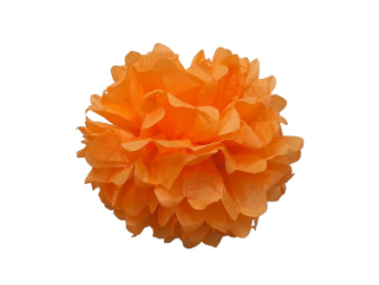 25.40cm Pom Poms - Orange - 6/pk