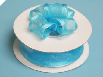 2.22cm Wired Satin Edged Organza-Turquoise