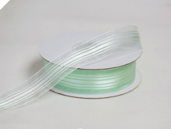2.22 cm Satin Stripe Organza - Mint Green
