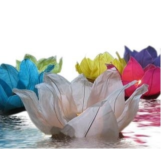 Flower Lanterns - White x 5 (Out of Stock)