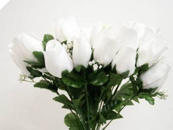 Velvet Rose Buds - White 1-bunch