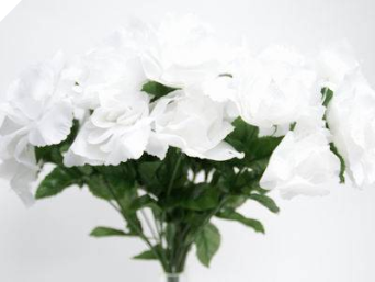 Silk Open Rose - White 1-bunch