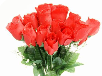 Silk Rose Buds - Red 1-bunch