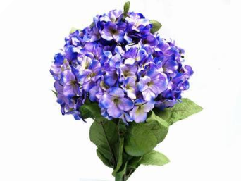 Purple Hydrangea Bush-7ct