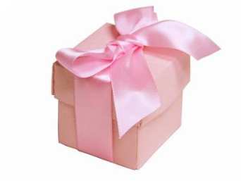 Pink Favour Boxes 2pc - 25 Pack