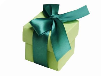 Sage Green Favour Boxes 2pc - 25 Pack