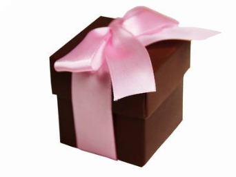 Chocolate Favour Boxes 2pc - 25 Pack