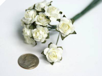 Paper Roses - Ivory 144/pk