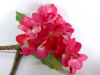 Frangipani Branch-Pink-12 flowers