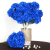 14 Chrysanthemum Mum Balls - Royal Blue
