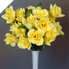 Velvet Bloom Roses - Yellow 1-bunch