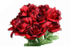 Velvet Bloom Roses - Black Red  1-bunch