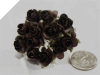 Paper Roses - Chocolate 144/pk