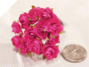 Paper Roses - Fuchsia/Hot Pink 144/pk