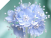 Faux Pearl Flower-Baby Blue.72/pk