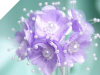 Faux Pearl Flower-Lavender.72/pk