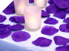 500 Rose Petal - Purple