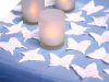 500 Butterfly Petals - White