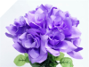 Velvet Bloom Roses - Lavender 1-bunch