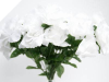 Silk Open Rose - White 1-bunch