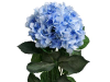 Light Blue Hydrangea Bush-7ct