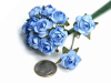 Paper Roses - Baby Blue 144/pk
