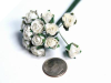 Paper Roses - White 144/pk