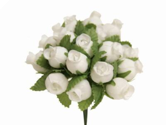 Rose Bud-Ivory.144/pk Rose Bud-Ivory.144/pk
